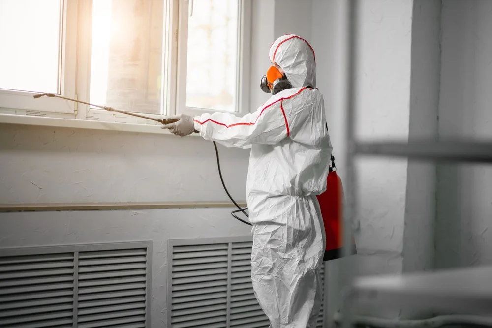 Professional mold remediation services in Alvin, TX